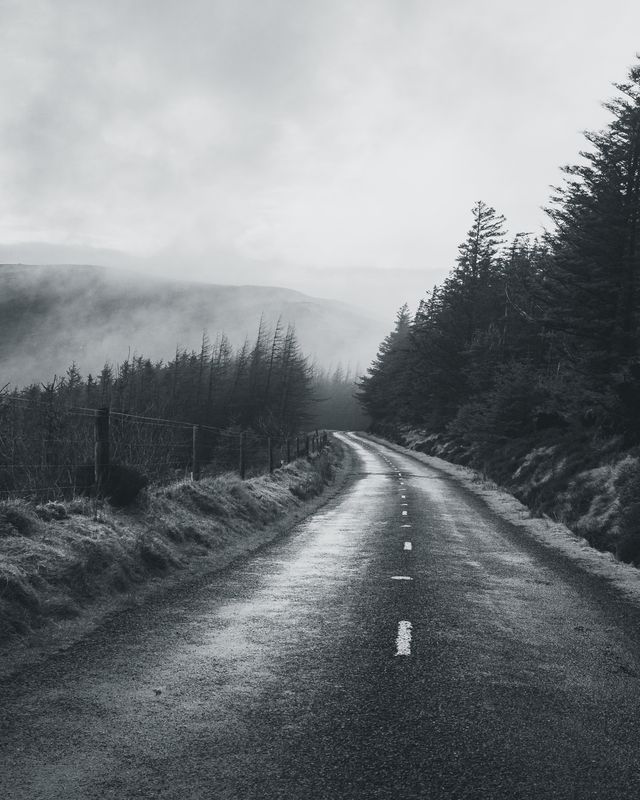 A road on the hike up Mt. Leinster, with the trees and fog in the background