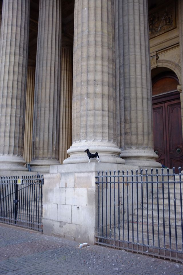 Small dog on base of large pillar