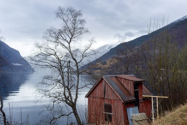 Tree and cabin looking over fjord